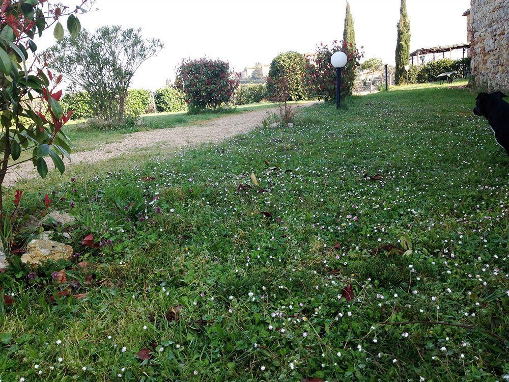 B&B Il Pozzo Di Radi Monteroni dʼArbia Esterno foto